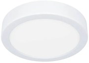 Eglo Fueva stropné svetlo do kúpeľne oceľ 900638