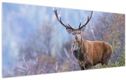 Obraz - Jeleň v krajine (120x50 cm)
