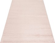 TA Koberec P113A RUŽOVÝ PRAMEŇ