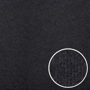 Čistiaca zóna Polo antra metráž - neúčtujeme odrezky z role, na mieru, šíře 1,33m,1m,2m,3m,4m,na mieru, neúčtujeme odrezky, čierna, chodba / predsieň