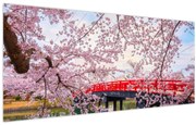 Obraz - Hirosaki, Japonsko (120x50 cm)