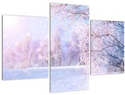 Obraz - Mrazivá zima (90x60 cm)