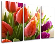 Obraz na stenu KVETY | rôzne rozmery