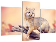 Obraz - Líška (90x60 cm)