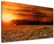 Obraz na stenu KRAJINA | rôzne rozmery