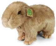 Rappa Plyšová kapybara 30 cm ECO-FRIENDLY
