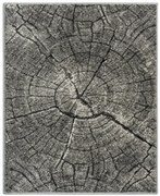 Behúň TRONKO sivý