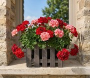 AMADEA Drevený obal s kvetináčom tmavý, 37x37x30cm Český výrobok