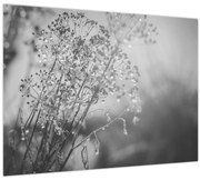 Obraz - Lúka po daždi (70x50 cm)