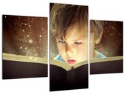 Obraz - Kúzlo príbehu (90x60 cm)
