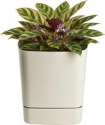 Plastový květináč s podmiskou Cubi 25x25 cm - výber z 5 prevedení