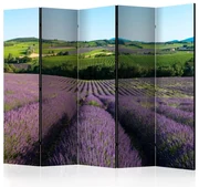 Artgeist Paraván - Lavender fields [Room Dividers]