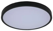 Rabalux 71439 - LED Kúpeľňové stropné svietidlo ALENZO LED/36W/230V IP44 čierna RL71439