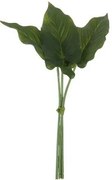 3 okrasné listy Philodendron II - 30cm