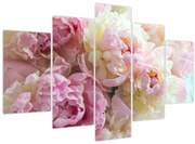 Obraz - Pivonky (150x105 cm)