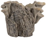 Hnedý cementový kvetináč kmeň stromu s hubami Botanic - 19*17*16 cm