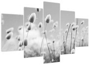Obraz - Boho bunny tail grass (150x105 cm)