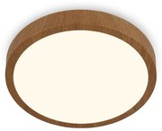 Brilo - LED Stropné svietidlo RUNA LED/24W/230V