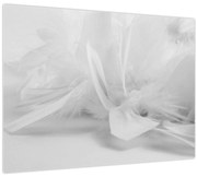 Obraz - Perie (70x50 cm)