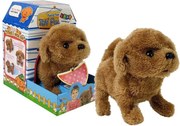 LEAN Toys Interaktívna batéria Pes Brown Walks pohybuje chvostom Zvuk