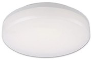 Top Light Leon K - LED Vonkajšie stropné svietidlo LED/15W/230V IP44