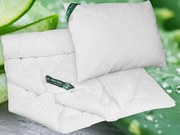 2G Lipov Súprava Aloe Vera 4 ročné obdobia - 135x200 / 70x90 cm