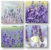 Obraz na stenu Lavender dream | rôzne rozmery