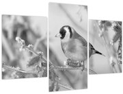 Obraz - Vtáčik v zime (90x60 cm)