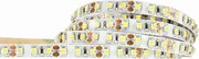 LED pásik 9,6 W/m studená farba 6500 K 600 lm/m 12 V DC IP20 1 m