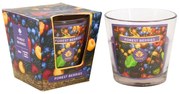 Arome Vonná sviečka v skle Forest Berries, 120 g