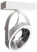 Nástenné bodové svietidlo LUGAR 1xAR111 - GU10/25W/230V