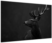 Obraz - Portrét jeleňa (90x60 cm)