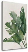 Obraz na plátne RASTLINY 008 | rôzne rozmery