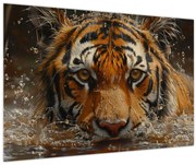 Obraz - Portrét tigra vo vode (90x60 cm)
