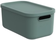Rotho Úložný box, rovný s víkem, 12l, matně zelený ALBU LIGHT , 40x24x18
