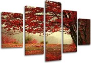 Obraz na stenu 5 dielny STROMY ST017E50