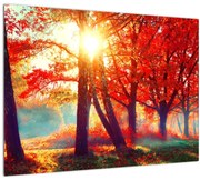 Obraz - Jesenná krajina (70x50 cm)