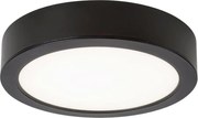 Rabalux 2692 - LED Kúpeľňové stropné svietidlo SHAUN LED/24W/230V pr. 22 cm IP44