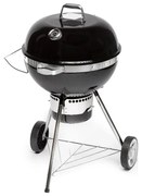Fieldmann - Gril na drevené uhlie čierna/chróm