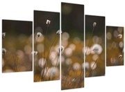 Obraz - Lúka s cottongrass N⁰2 (150x105 cm)