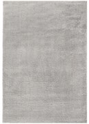 Flair Rugs, Kusový koberec Shaggy Teddy Grey, 120x170, šedá, obývacia izba