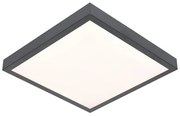 LED Stropné svietidlo VITALI LED/24W/230V
