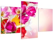 Obraz tulipánov (90x60 cm)