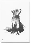 Plagát Red Fox 50x70