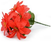 Betlehemská hviezda kytica