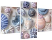 Obraz - Zbierka mušlí (90x60 cm)