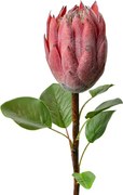 Ružová umelá dekorácia kvetina Protea - 10*10*65 cm