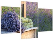 Obraz - Levanduľové zväzky (90x60 cm)