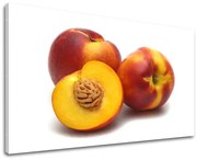 Obraz na stenu KUCHYŇA | rôzne rozmery