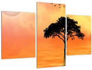 Obraz stromu pri západe slnka (90x60 cm)